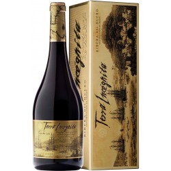 Terra Incognita 2014 Foto: 2473