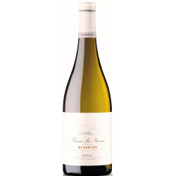 Nivarius Finca La Nevera 2016 Foto: 2856